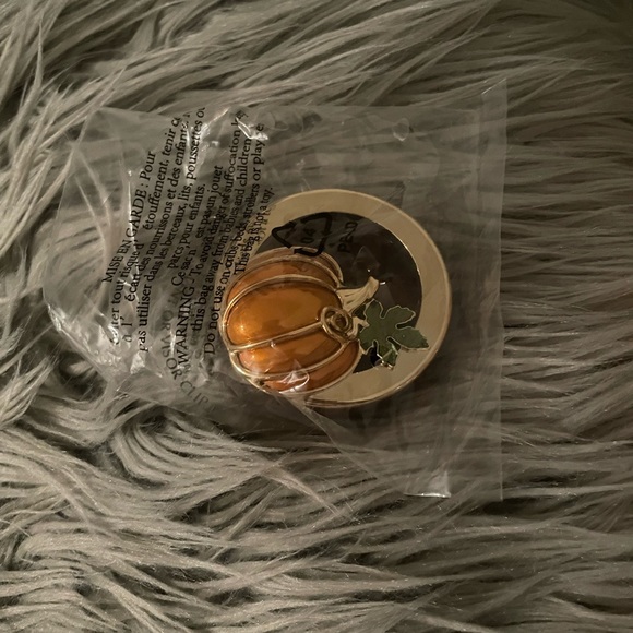 BBW car fragrance pumpkin 🎃 fall autumn vent or visor clip - Picture 5 of 5
